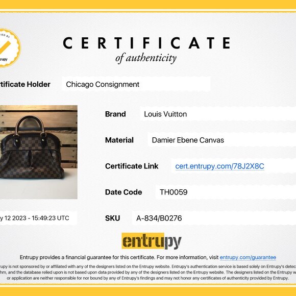 Louis Vuitton Damier Ebene Trevi PM - Picture 14 of 14